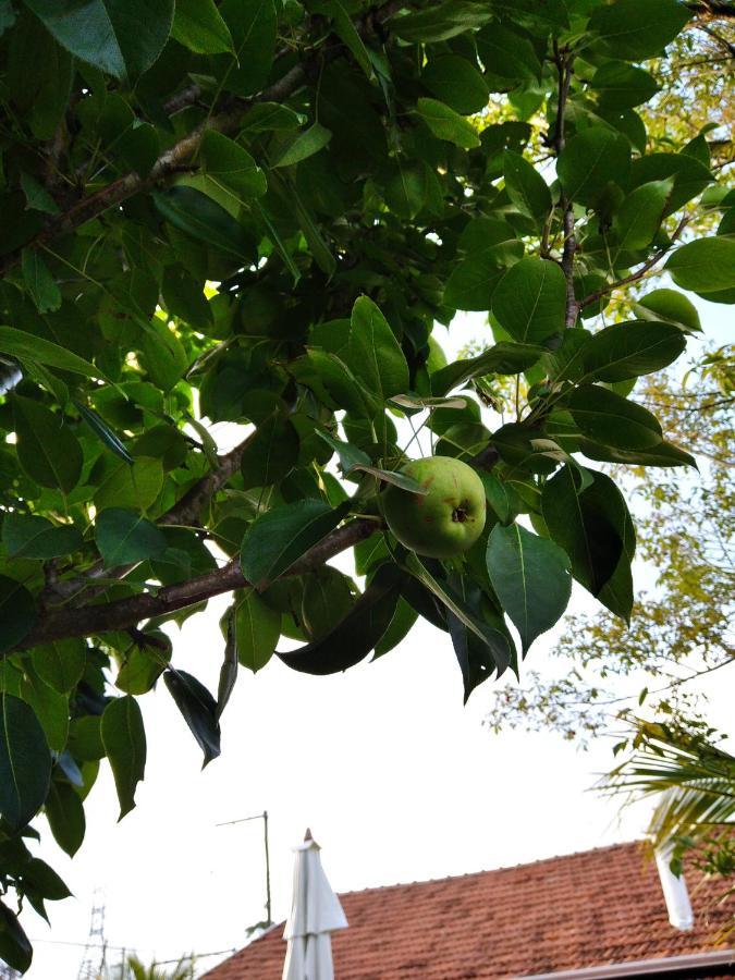 Casa 2 Dorm Em Prox Unesp * Botucatu